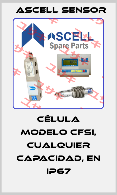 Célula modelo CFSI, cualquier capacidad, en IP67 Ascell Sensor