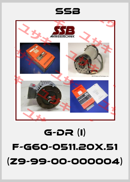 G-DR (I) F-G60-0511.20X.51 (Z9-99-00-000004) SSB
