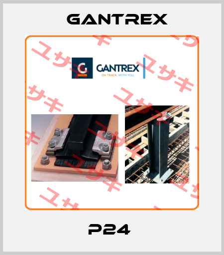 P24  Gantrex
