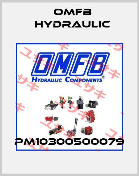 PM10300500079 OMFB Hydraulic