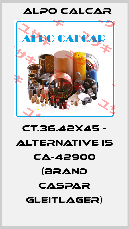 CT.36.42x45 - alternative is CA-42900 (Brand Caspar Gleitlager) Alpo Calcar