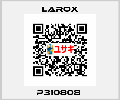 P310808  Larox