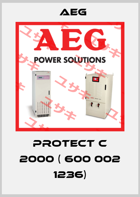 PROTECT C 2000 ( 600 002 1236) AEG