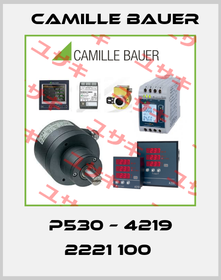P530 – 4219 2221 100  Camille Bauer