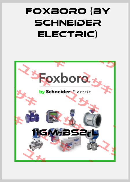 11GM-BS2-L Foxboro (by Schneider Electric)