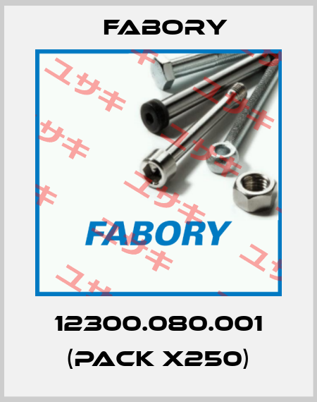 12300.080.001 (pack x250) Fabory