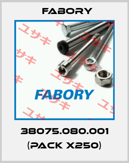 38075.080.001 (pack x250) Fabory