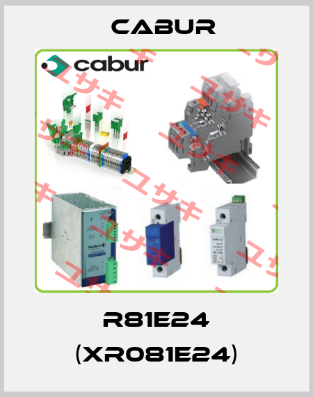 R81E24 (XR081E24) Cabur