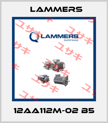 12AA112M-02 B5 Lammers