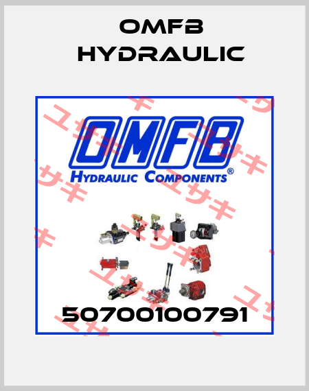 50700100791 OMFB Hydraulic