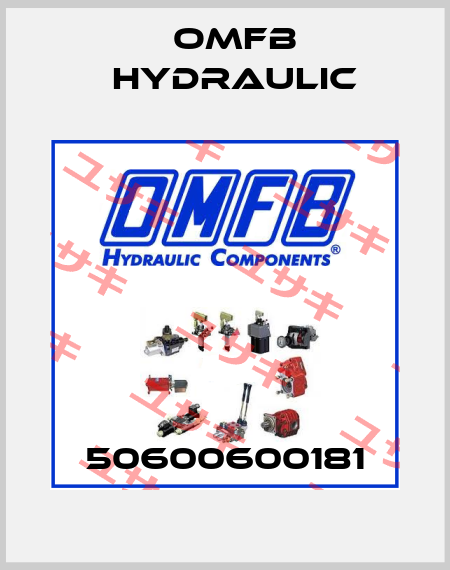 50600600181 OMFB Hydraulic