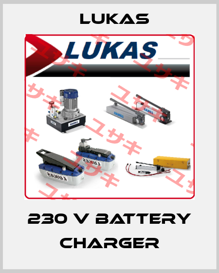 230 V battery charger Lukas