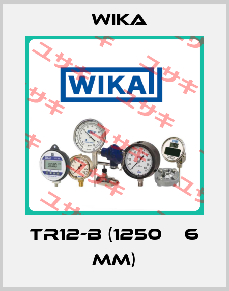 TR12-B (1250 х 6 mm) Wika