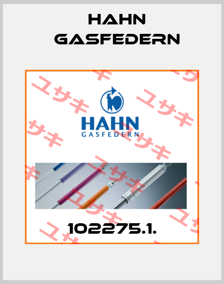 102275.1. Hahn Gasfedern