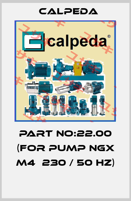 PART NO:22.00 (FOR PUMP NGX M4  230 / 50 HZ)  Calpeda