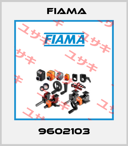 9602103 Fiama