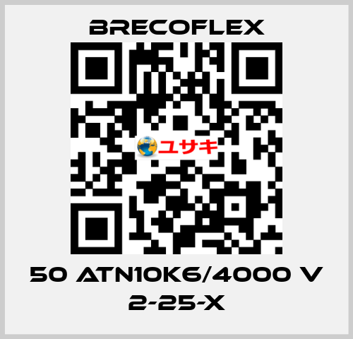 50 ATN10K6/4000 V 2-25-X Brecoflex