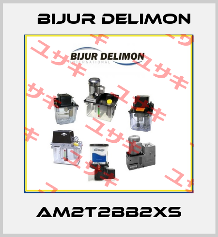 AM2T2BB2XS Bijur Delimon