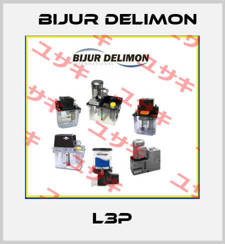 L3P Bijur Delimon