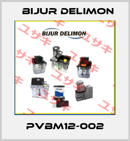 PVBM12-002 Bijur Delimon