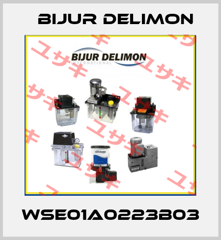 WSE01A0223B03 Bijur Delimon