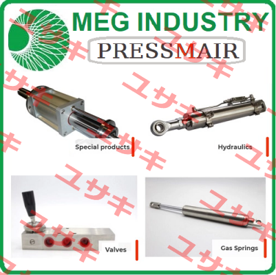 CS 100 Meg Industry (Pressmair)