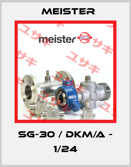 SG-30 / DKM/A - 1/24 Meister