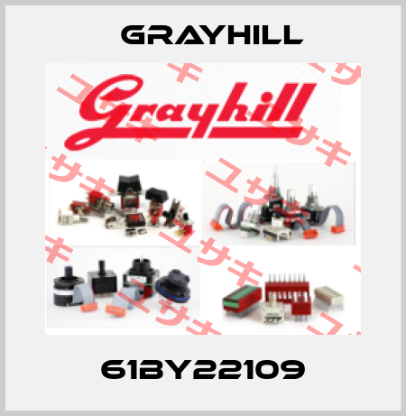 61BY22109 Grayhill