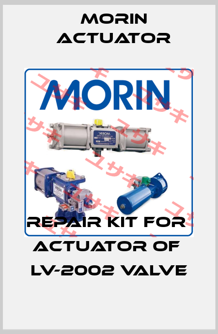 REPAIR KIT FOR  ACTUATOR of  LV-2002 VALVE Morin Actuator