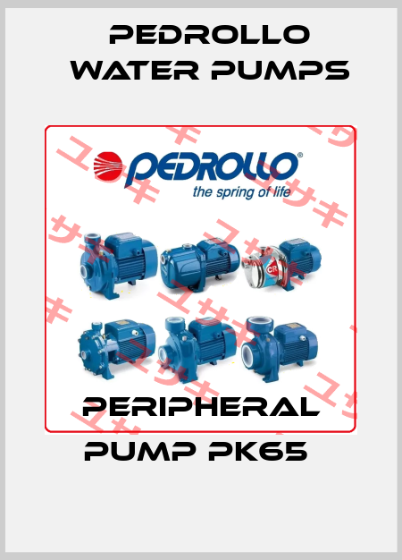 PERIPHERAL PUMP PK65  Pedrollo Water Pumps