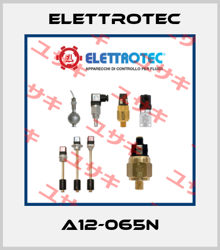 A12-065N Elettrotec