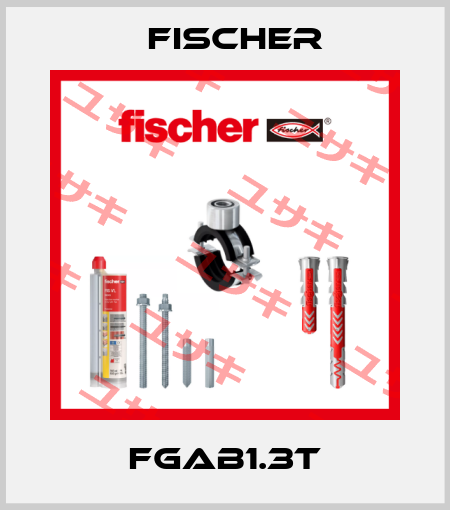 FGAB1.3T Fischer