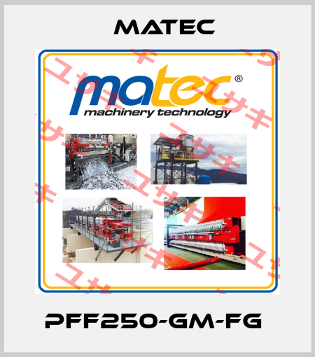 PFF250-GM-FG  Matec