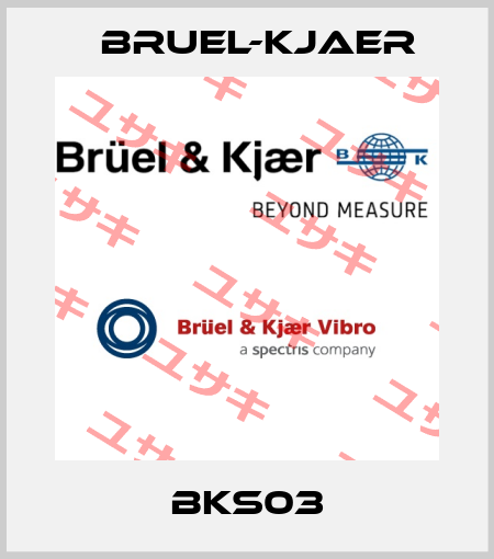 BKS03 Bruel-Kjaer