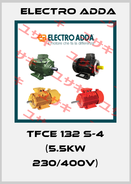 TFCE 132 S-4 (5.5KW 230/400V) Electro Adda
