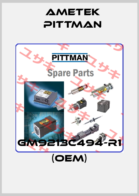 GM9213C494-R1 (OEM) Ametek Pittman