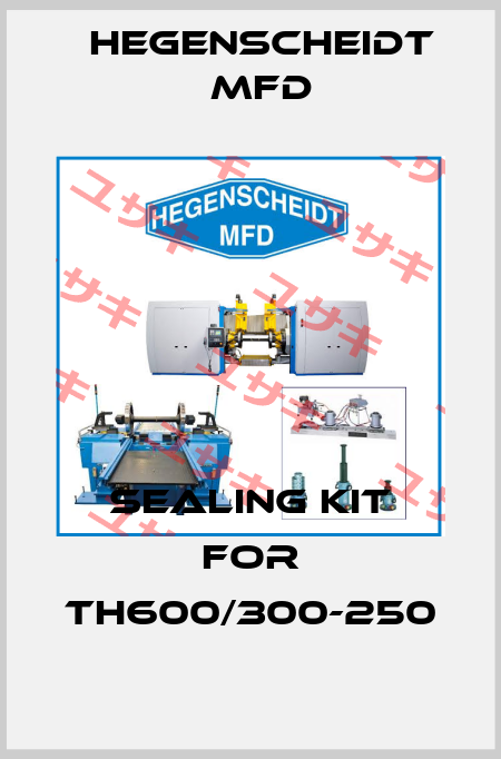 Sealing Kit for TH600/300-250 Hegenscheidt MFD