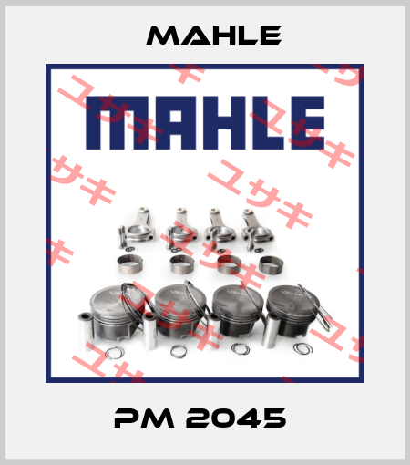 PM 2045  MAHLE