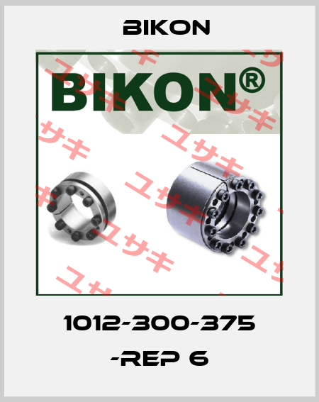 1012-300-375 -REP 6 Bikon