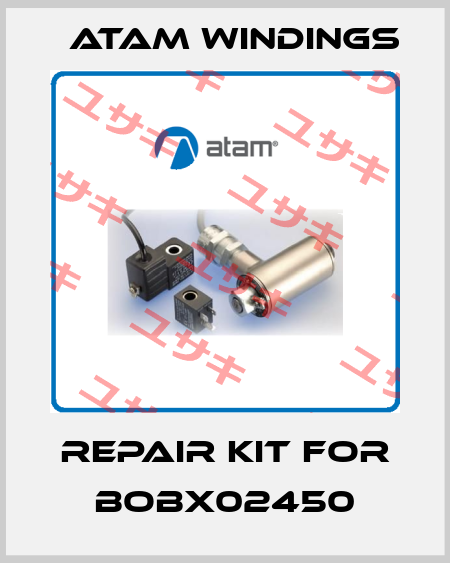 Repair kit for BOBX02450 Atam Windings