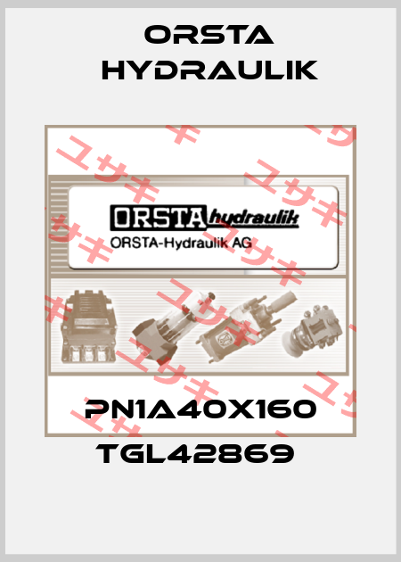 PN1A40X160 TGL42869  Orsta Hydraulik