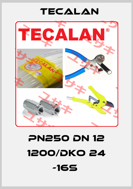 PN250 DN 12 1200/DKO 24 -16S  Tecalan