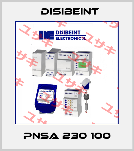 PNSA 230 100 Disibeint
