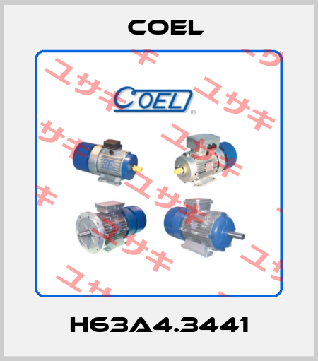 H63A4.3441 Coel