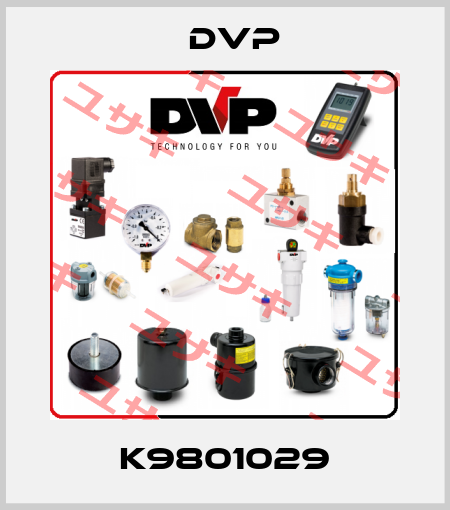 K9801029 DVP