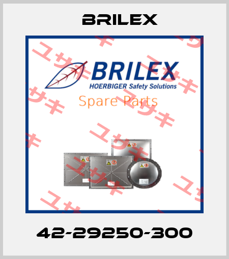 42-29250-300 Brilex