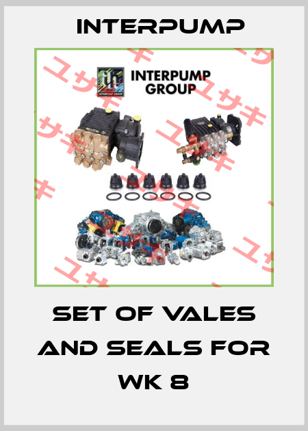 set of vales and seals for WK 8 Interpump