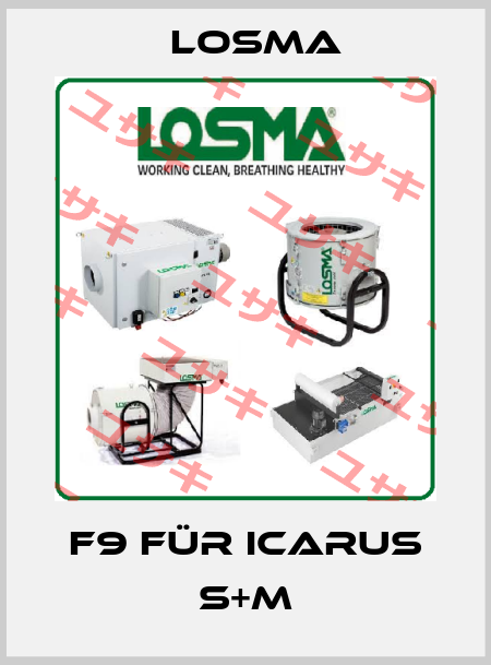 F9 für Icarus S+M Losma