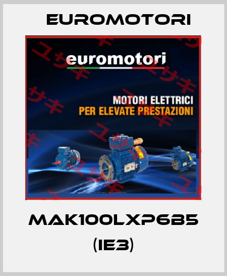 MAK100LXP6B5 (IE3) Euromotori