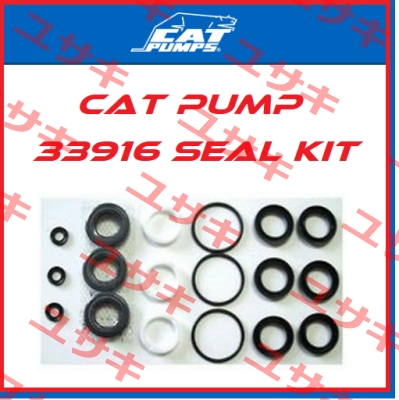 33916 Cat Pumps